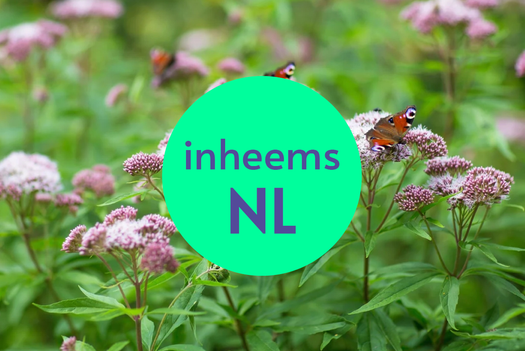 Inheemse vaste planten