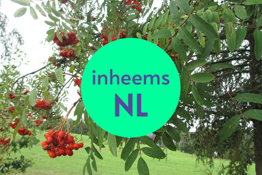 Inheemse Bomen