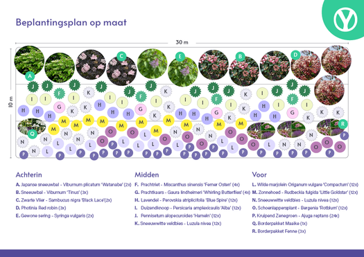 Beplantingsplan op maat - Alle tuinontwerpers