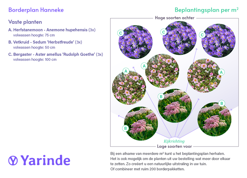 Borderpakket Hanneke - Vaste planten borderpakket - Laatbloeiende tuinplanten - Roze - najaarsbloeiers borderpakket Borderpakket Hanneke - Vaste planten borderpakket - Laatbloeiende tuinplanten - Roze - najaarsbloeiers borderpakket