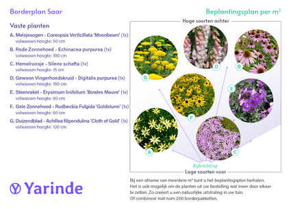 Borderpakket Saar - Vlindertuin - Vaste planten Roze & Geel - Zon