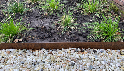 Cortenstaal borderrand flexibel 106 cm strip Hoogte 16 cm Wovar