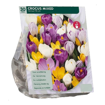 Grootbloemige Krokus bloembollen 90 stuks - Crocus gemengde kleuren