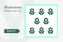 Plantadvies voor 8 planten per m2 Plantadvies voor 8 planten per m2