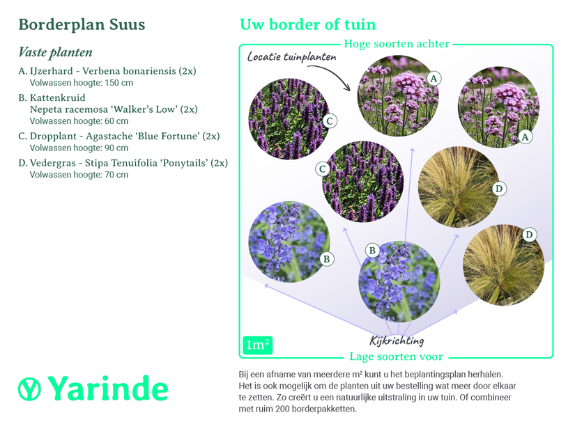 Beplantingsplan Suus Beplantingsplan Suus