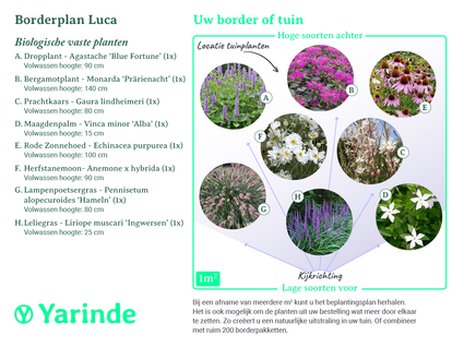 Beplantingsplan Luca - Biologische vaste planten