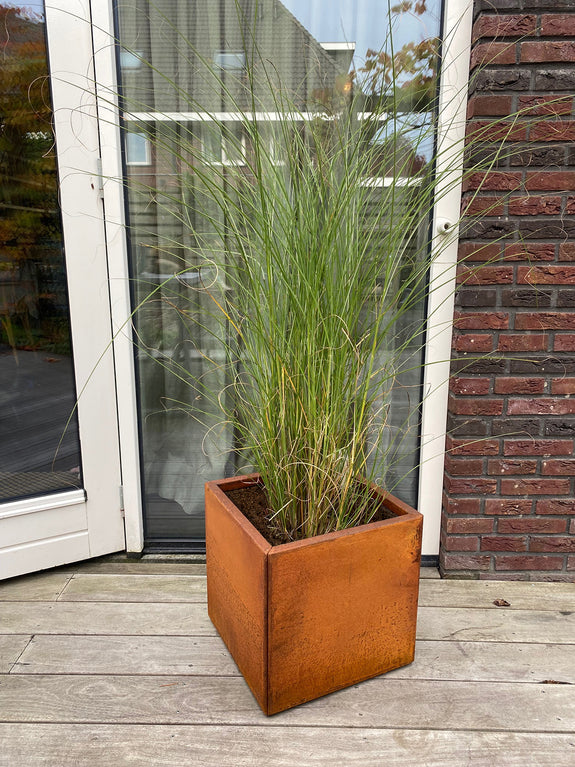 Plantenbak Kubus Cortenstaal 40x40x40 cm Wovar