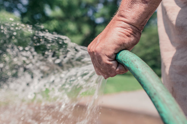 Hitte in de tuin droogte bestendig maken