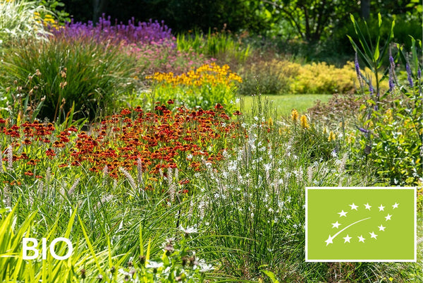 Alle biologische vaste planten en siergrassen: EU-biologisch gecertificeerd (Skal 116581)