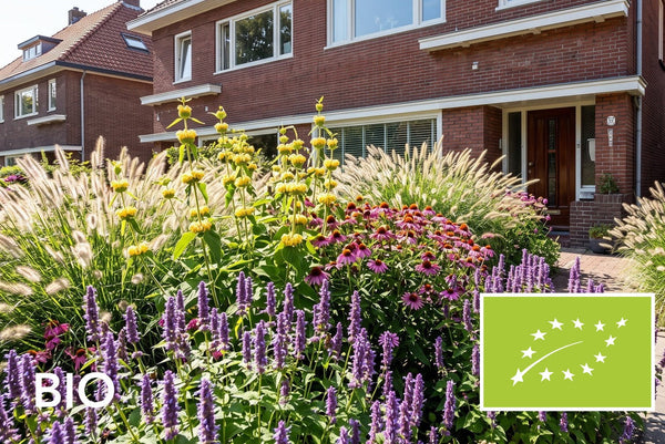 Biologische tuinplanten, bio voortuinborder met agastache, zonnehoed, brandkruid en lampenpoetsersgras: EU-biologisch gecertificeerd (Skal 116581)
