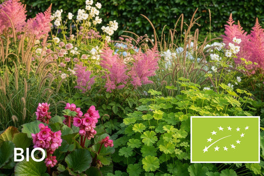Biologische vaste planten en siergrassen - leemgrond: EU-biologisch gecertificeerd (Skal 116581)