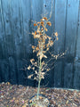 Groene beukenhaag - Fagus sylvatica (Bladhoudende beuk)