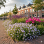 Biologisch Ooievaarsbek - Geranium 'Azure Rush'