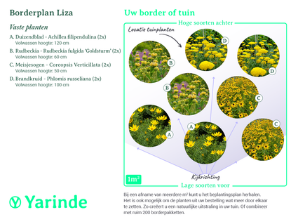 Borderpakket Liza - Vaste planten Geel - Prairietuin - Zon