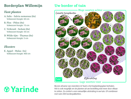 Borderpakket Willemijn - Borderpakket onderhoudsarm tuinplanten voor vogels, vlinders & bijen - Halfschaduw & Zon - Paars, Blauw & Roze