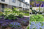 Borderpakket Annet - Vroegbloeiende tuinplanten mix - Blauw & Wit - Halfzon