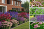 Borderpakket Fenne - Vlindertuin Vaste planten - Paars & Roze - Zon