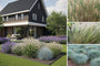 Borderpakket Hugo - Siergrassen mix - Halfschaduw & Zon