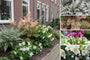 Borderpakket Machiel - Bloeiende schaduwplanten Roze & Wit - Schaduwborder mix - Per m2