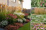 Borderpakket Mirthe - Vaste planten - Prairietuin - Wit & rood - droge grond - Zon