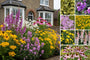 Borderpakket Saar - Vlindertuin - Vaste planten Roze & Geel - Zon