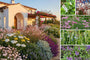 Borderpakket Silvio - Mediterrane tuinplanten - Roze & wit - Zon