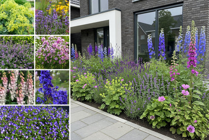 Borderpakket William - Engelse tuin - Paars, wit & roze - vanaf 1 m2