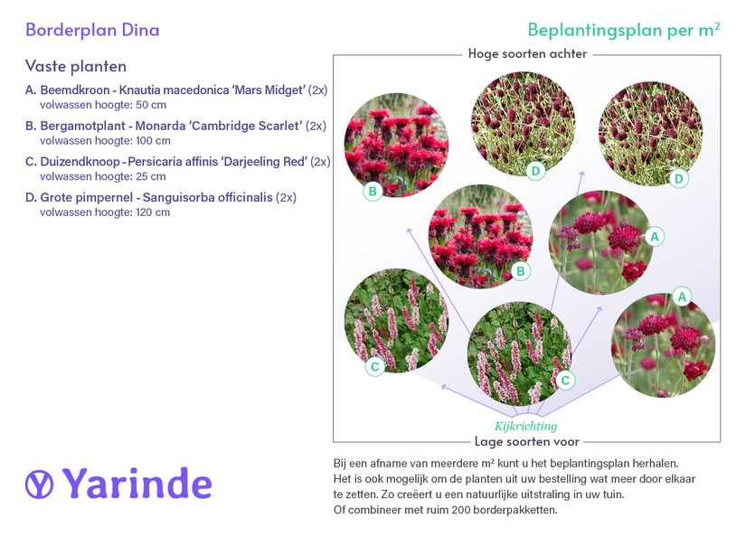 Borderpakket Dina - Vaste planten Prairietuin met rode bloemen - Zon