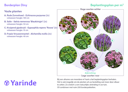 Borderpakket Diny - Meerkleurig Roze, Blauw, Paars, Geel - Zon en Halfzon