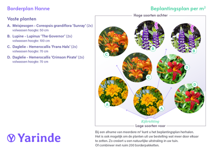 Borderpakket Hanne - Vaste planten mix, Meerkleurige bloemen - Zon