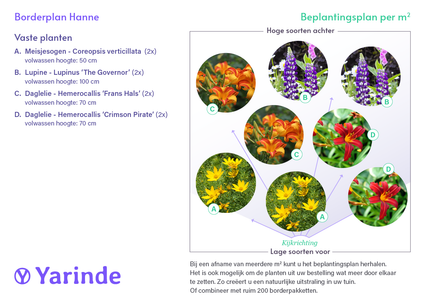 Borderpakket Hanne - Vaste planten mix, Meerkleurige bloemen - Zon