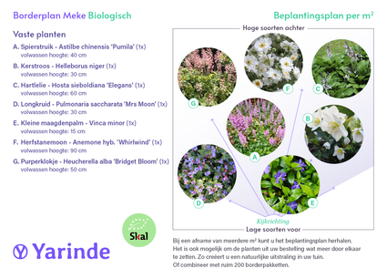 Borderpakket Meke - Langbloeiende biologische vaste planten voor schaduw - per m2