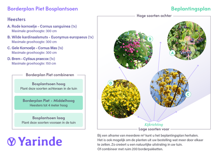 Borderplan Piet - Borderpakket inheemse bosplantsoen middelhoog - middelhoge planten soorten mix