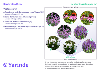 Borderpakket Aanbieding Ricky - Zon/Halfzon