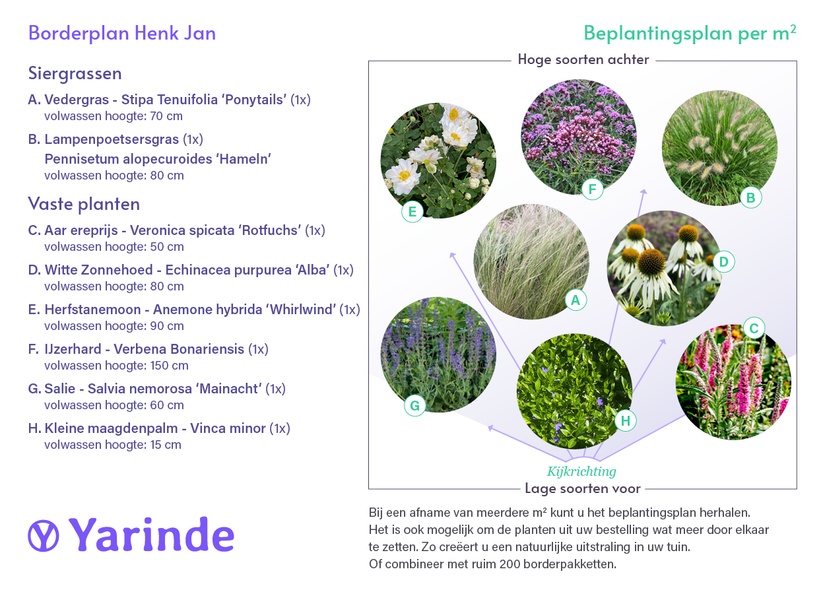 Borderpakket Henk jan - Siergras en vaste planten mix - Paars & Wit - Zon