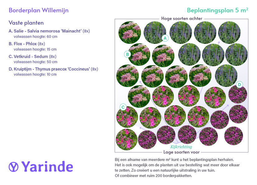 Borderpakket Willemijn - Borderpakket onderhoudsarm tuinplanten voor vogels, vlinders & bijen - Halfschaduw & Zon - Paars, Blauw & Roze