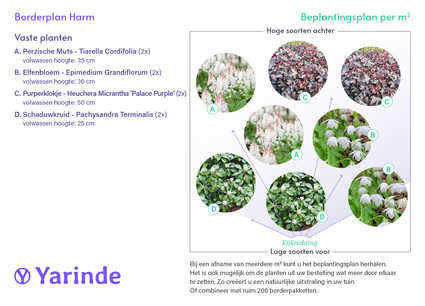 Borderpakket Harm - Sterkste bodembedekkers voor halfschaduw & schaduw - per m2