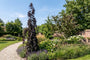 Bruine treurbeuk - Fagus sylvatica 'Black Swan'