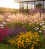 Coreopsis verticillata combinatie met Riet 'Miscanthus', Vedergras 'Stipa', Zonnehoed 'Echinacea', Prachtkaars 'Gaura', Daglelie 'Hemerocallis', Salie 'Salvia', Dropplant 'Agastache', Lange Ereprijs 'Veronica' en Duizendknoop 'Persicaria'.