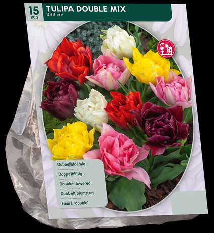 Wilde kievitsbloem bloembollen Rood en Wit 60 stuks - Fritillaria meleagris