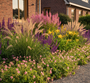 Geranium endressii 'Wargrave Pink' met brandkruid roze, daglelie 'hemerocallis, salie caradonna, lampenpoetsersgras, zwarte ereprijs