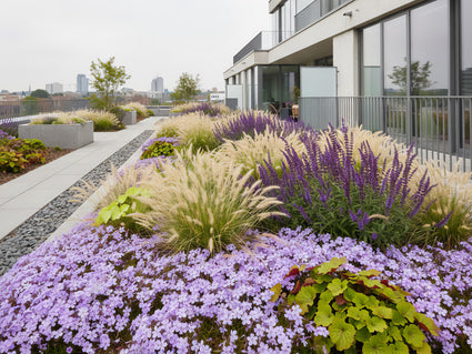 Kruipflox (Hoogte 15 cm, Paars) - Phlox subulata 'Purple Beauty'