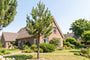 volgroeide pinus pinaster op hoge stam