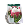 Tulp Tulipa Ice Cream - 15 bloembollen