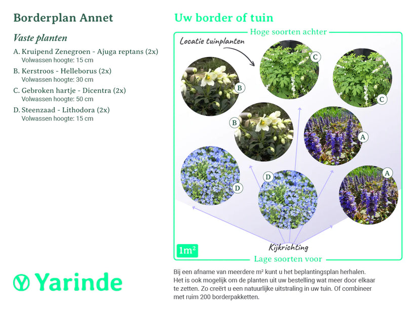 Borderpakket Annet - Vroegbloeiende tuinplanten mix - Blauw & Wit - Halfzon