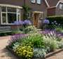 Afrikaanse lelie - Agapanthus 'Dr Brouwer'