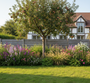 volgroeide appelboom malus domestica hoogstam