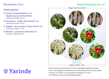 Borderpakket Zinzi - Voor een vochtige tuin - roze, rood & wit - Halfschaduw & zon
