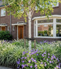 volgroeide hoogstam boom