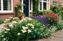 Biologisch Gewoon duizendblad - Achillea millefolium